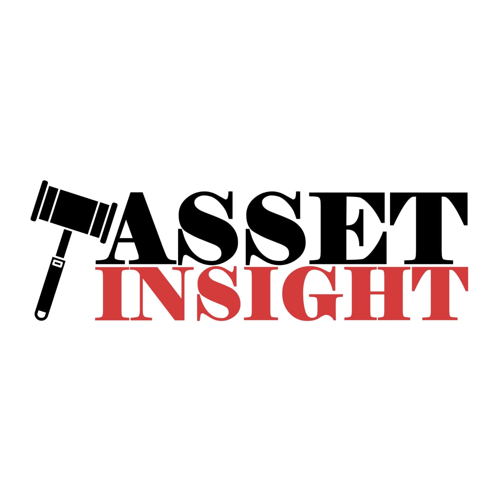 Asset Insight logo